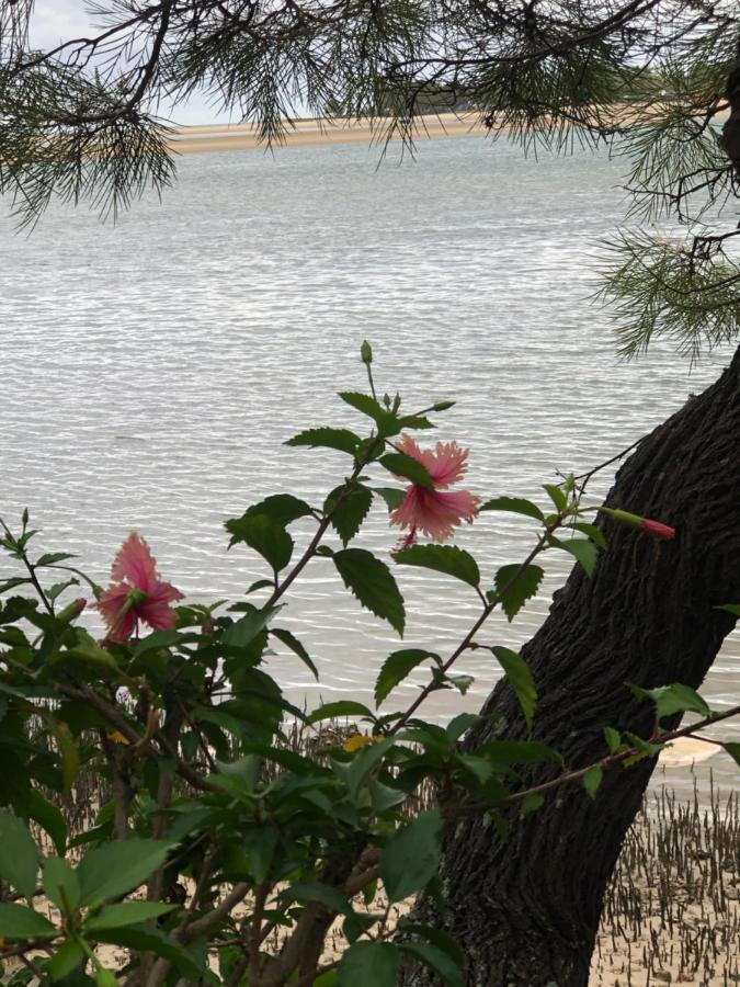 4Shore@Waterfrontplace Maroochydore Exteriör bild